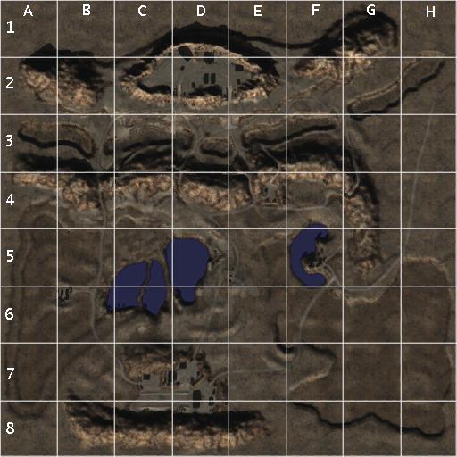 mini-map